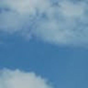 Meet your Posher, Darla